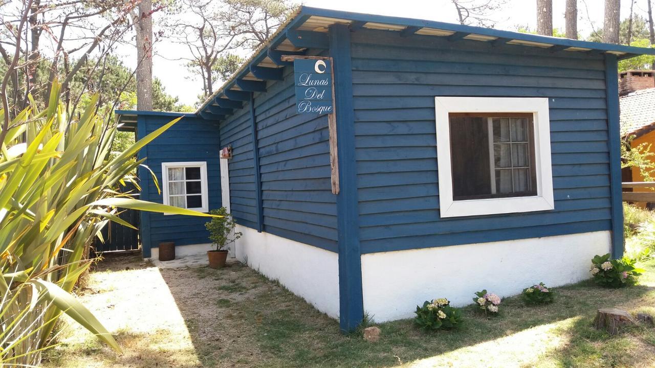 Lunas Del Bosque Cabana Y Apartamento En Suite La Paloma Bagian luar foto